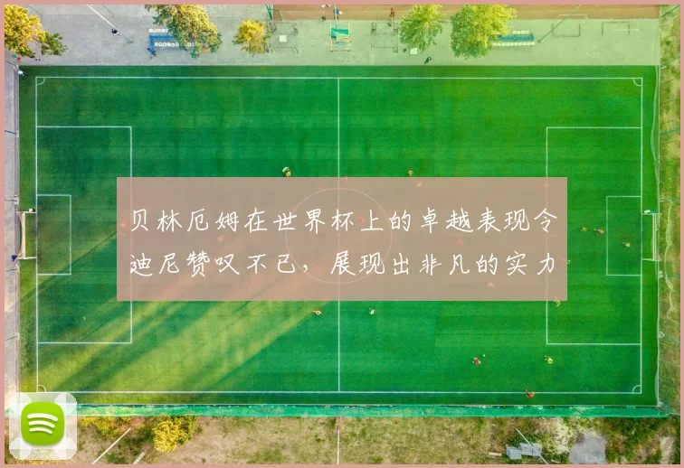 贝林厄姆在世界杯上的卓越表现令迪尼赞叹不已，展现出非凡的实力与魅力
