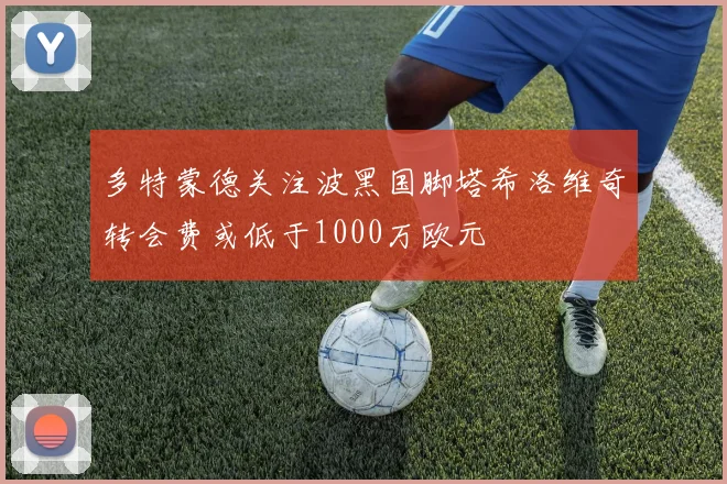 多特蒙德关注波黑国脚塔希洛维奇转会费或低于1000万欧元